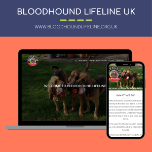 Bloodhound Lifeline UK